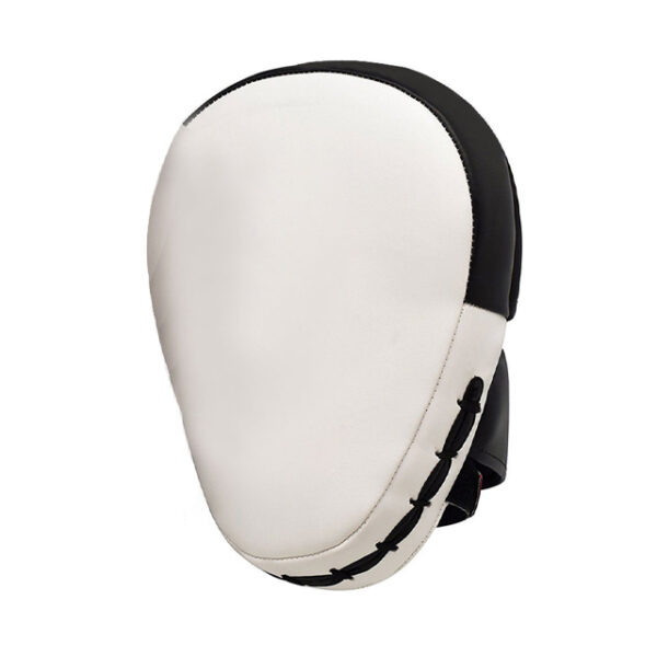 Boxing Focus Pads - Image 2
